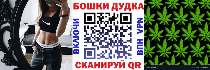 Канабис OG Kush  Холм 